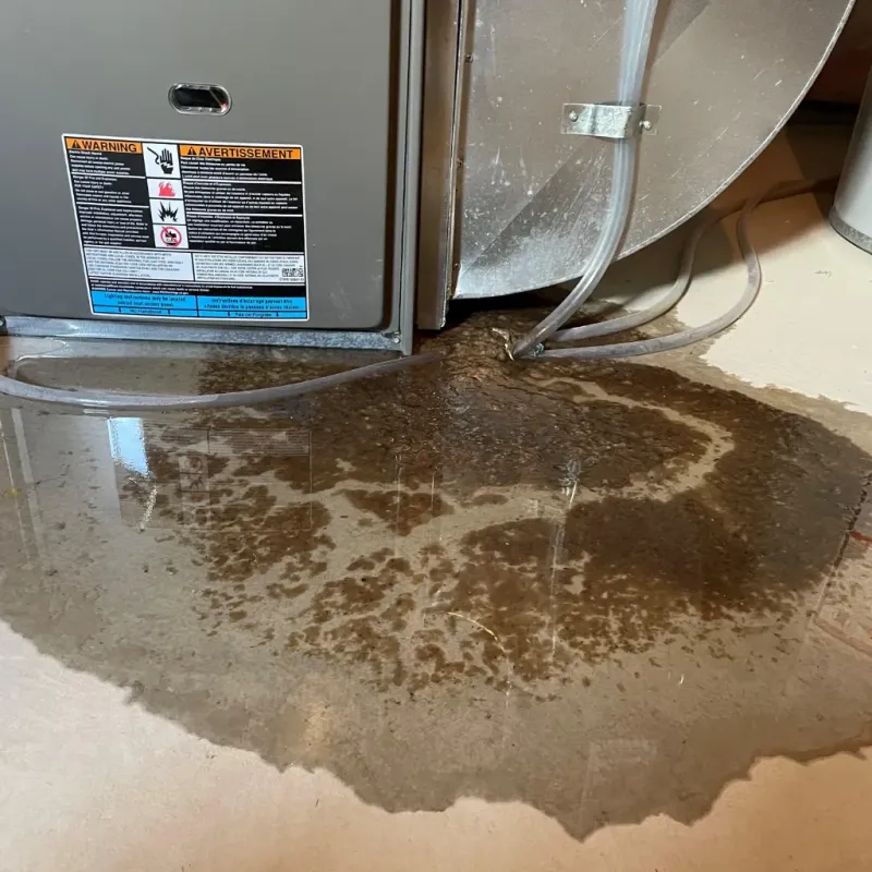 Appliance Leak Cleanup in Hudson, OH